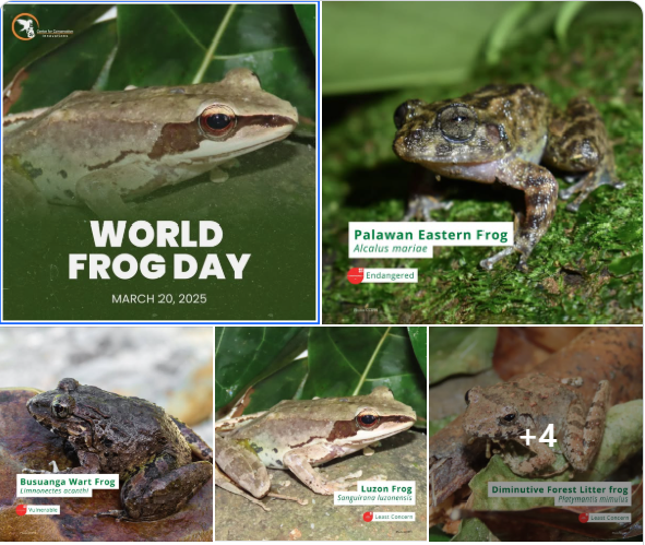 World Frog Day